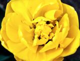 DSCF1346.jpg