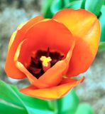 DSCF1359.jpg