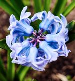 DSCF1371.jpg