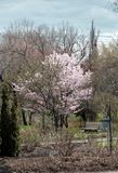 DSCF1389.jpg