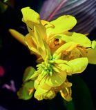 DSCF0015.jpg