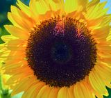 DSCF0074.jpg