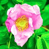 DSCF0108.jpg