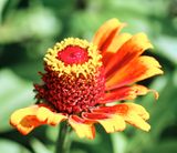 DSCF0179.jpg