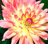 DSCF0214.jpg