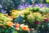 DSCF0315.jpg