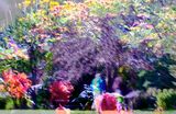 DSCF0321.jpg