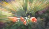DSC03103.jpeg