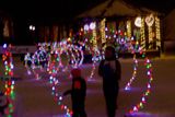 DSC03231.jpeg