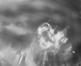 DSCF0511.jpg