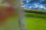 DSC03521.jpeg