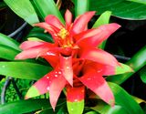 DSCF0523.jpg