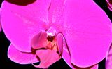 DSCF0647.jpg