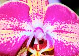 DSCF0670 1.jpg