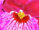 DSCF0692.jpg