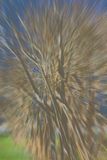 DSC04105.jpeg