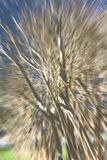 DSC04107.jpeg
