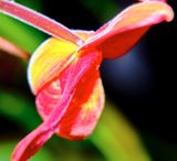 DSCF0714.jpg