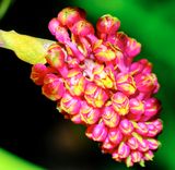 DSCF0732.jpg