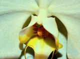 DSCF0728.jpg