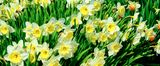 DSCF0757.jpg
