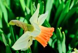 DSCF0759.jpg