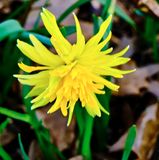 DSCF0779.jpg