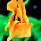 DSCF0805.jpg