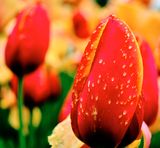 DSCF0811.jpg