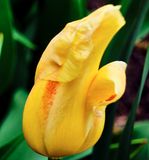 DSCF0820.jpg