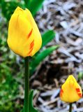 DSCF0840.jpg