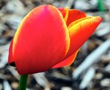 DSCF0842.jpg