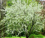 DSCF0850.jpg