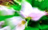 DSCF0883.jpg