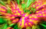 DSCF0889.jpg