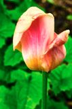 DSCF0899.jpg