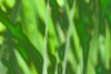 DSC04452.jpeg