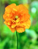 DSCF0939.jpg