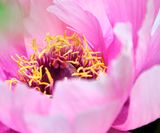 DSCF0995.jpg