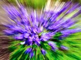 DSCF1036.jpg