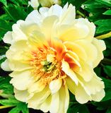 DSCF1125.jpg