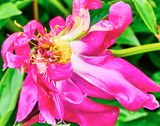 DSCF1153.jpg
