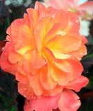DSCF1203.jpg