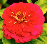 DSCF1220.jpg
