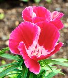 DSCF1378.jpg