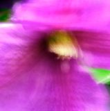 DSCF1389.jpg