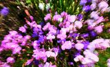 DSCF1414.jpg
