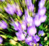 DSCF1423.jpg