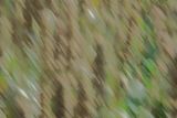 DSC05383.jpeg