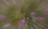 DSC05434.jpeg